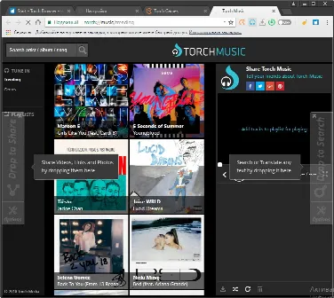 Скриншот №5 к программе Torch Browser