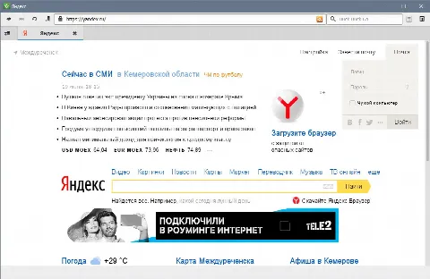 Скриншот №2 к программе Midori