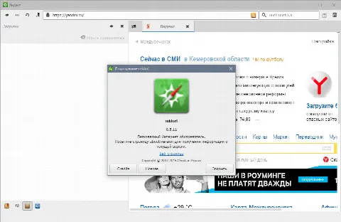 Скриншот №5 к программе Midori