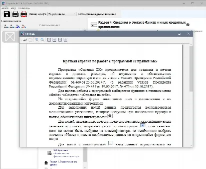 Скриншот №3 к программе Справки БК