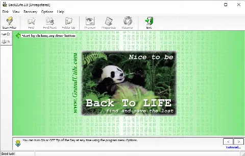Скриншот №1 к программе Back2Life