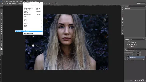 Скриншот №1 к программе Portraiture