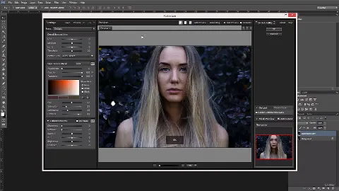 Скриншот №3 к программе Portraiture