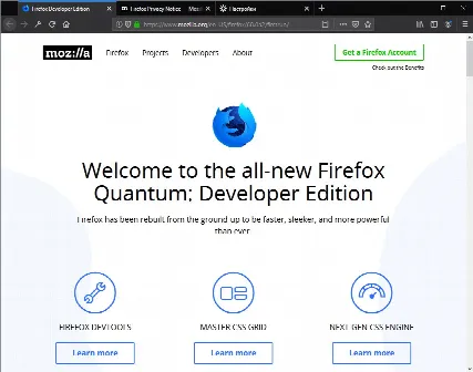 Скриншот №1 к программе Firefox Developer Edition