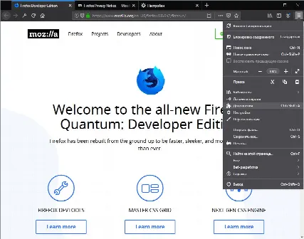 Скриншот №2 к программе Firefox Developer Edition