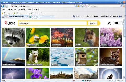 Скриншот №1 к программе Internet Explorer