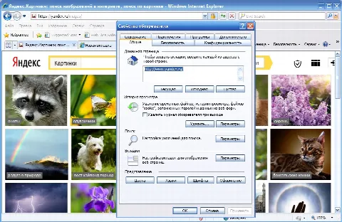 Скриншот №2 к программе Internet Explorer