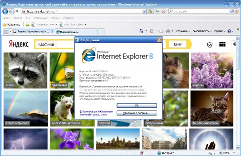 Скриншот №3 к программе Internet Explorer