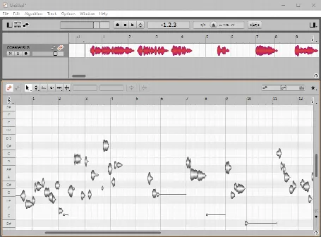 Скриншот №1 к программе Melodyne