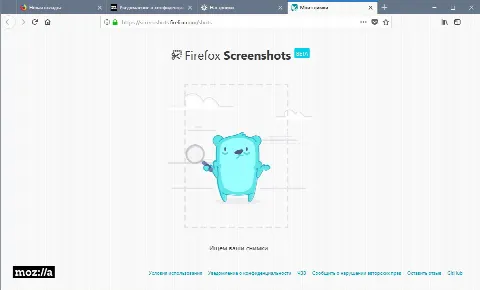 Скриншот №3 к программе Firefox Portable