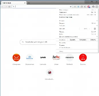 Скриншот №1 к программе Comodo Dragon
