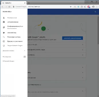 Скриншот №3 к программе Comodo Dragon