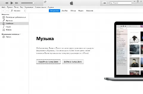Скриншот №1 к программе iTunes