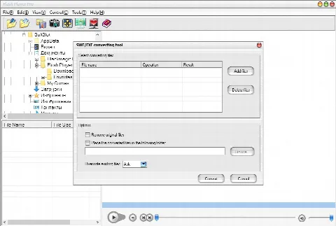 Скриншот №3 к программе Flash Player Pro