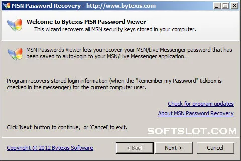 Скриншот №1 к программе MSN Password Recovery