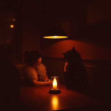 Шиншилла и торшер