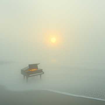 Туманный берег