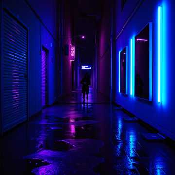 Ладохи и лохи