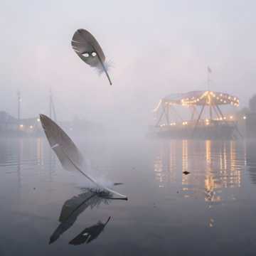 Определение чувства