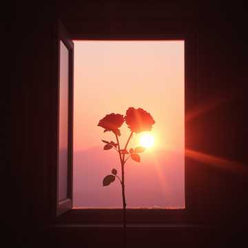 Не заставлю тебя я плакать