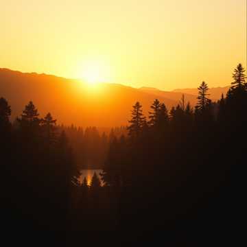 Твоё пение для бога