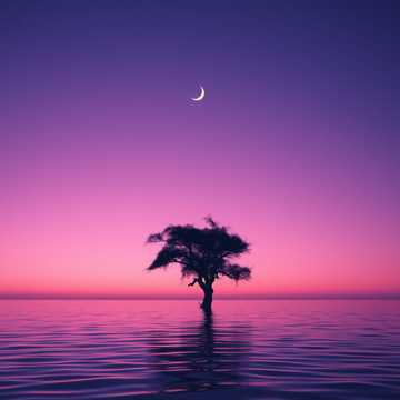 Сумерек Тень