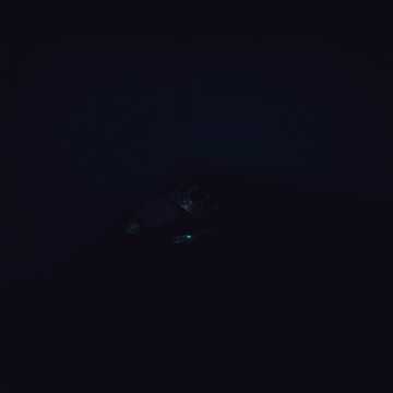 Легендарные потрахушки