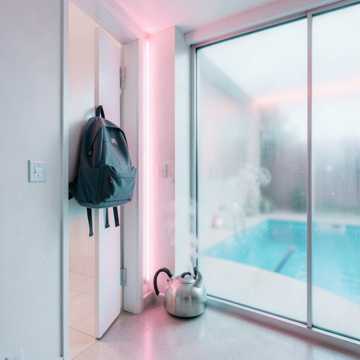 Шесть сорок