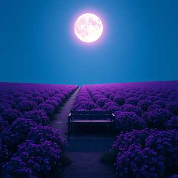 Путь к себе