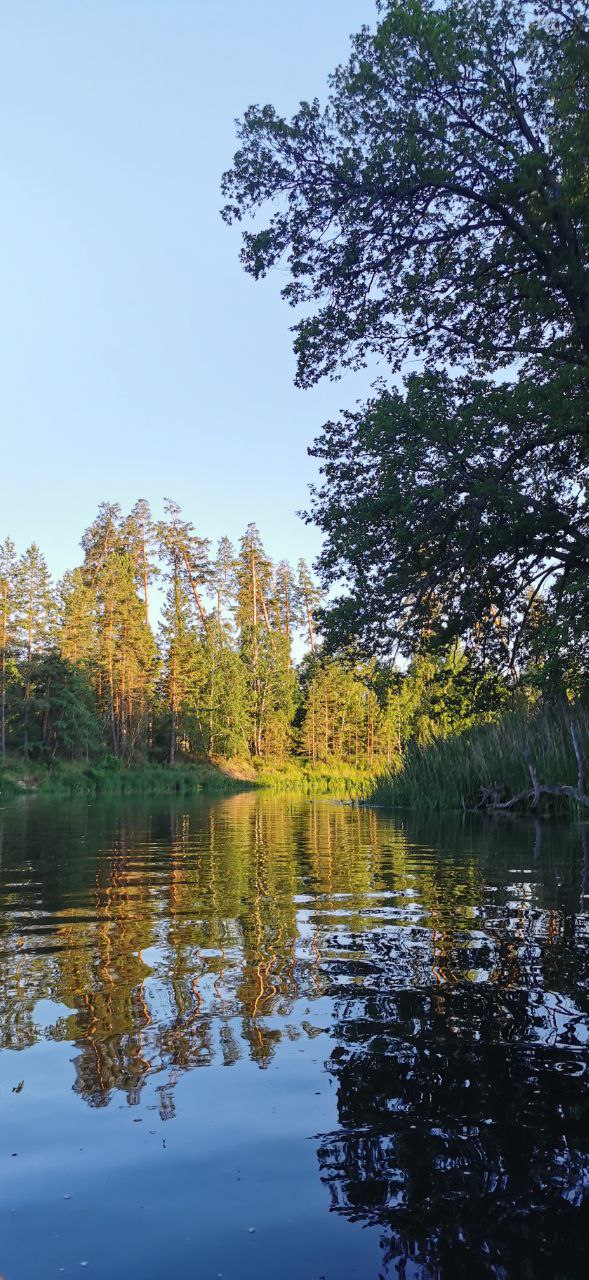 Фото со сплава 2021