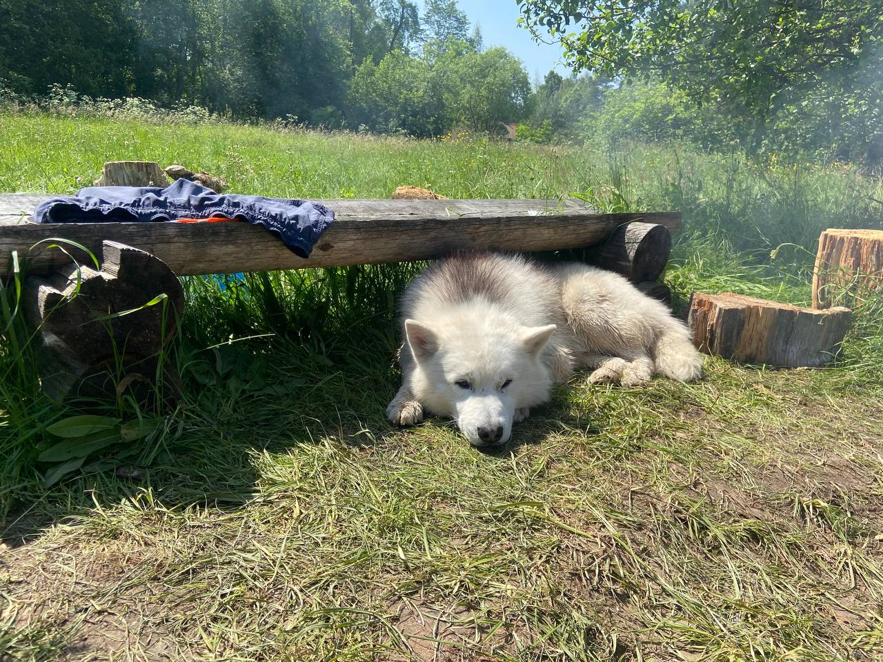 Фото со сплава 2025