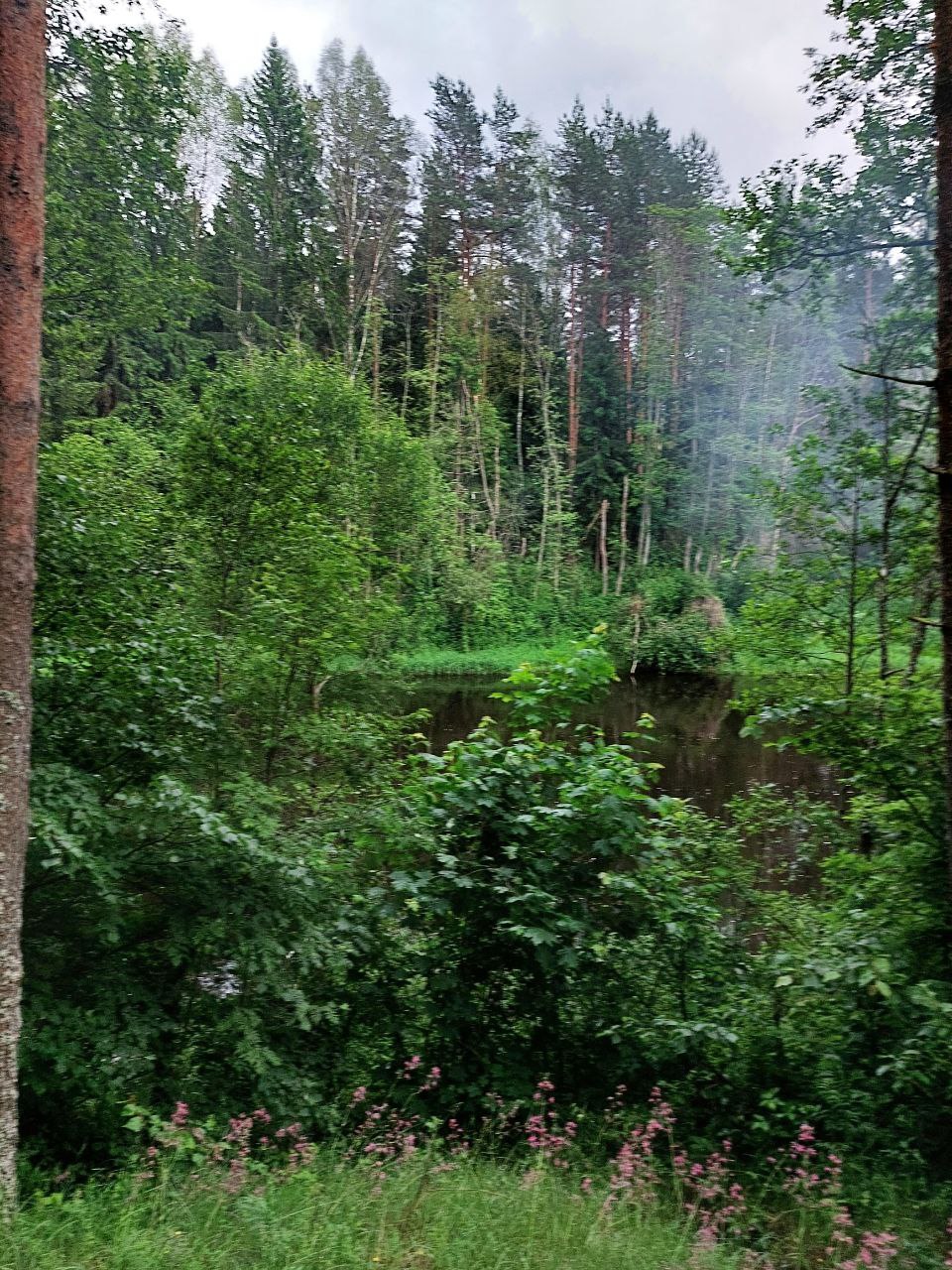Фото со сплава 2025