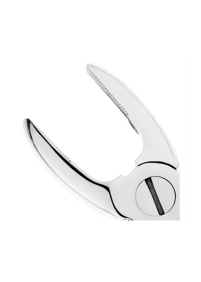 Nopa Instruments PA 002/00 - щипцы извлекающие для резцов/клыков верхней челюсти №2