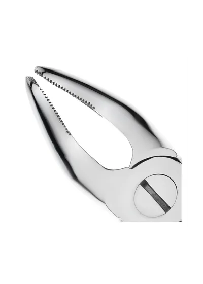 Nopa Instruments PA 008/00 - щипцы извлекающие для премоляров нижней челюсти №80