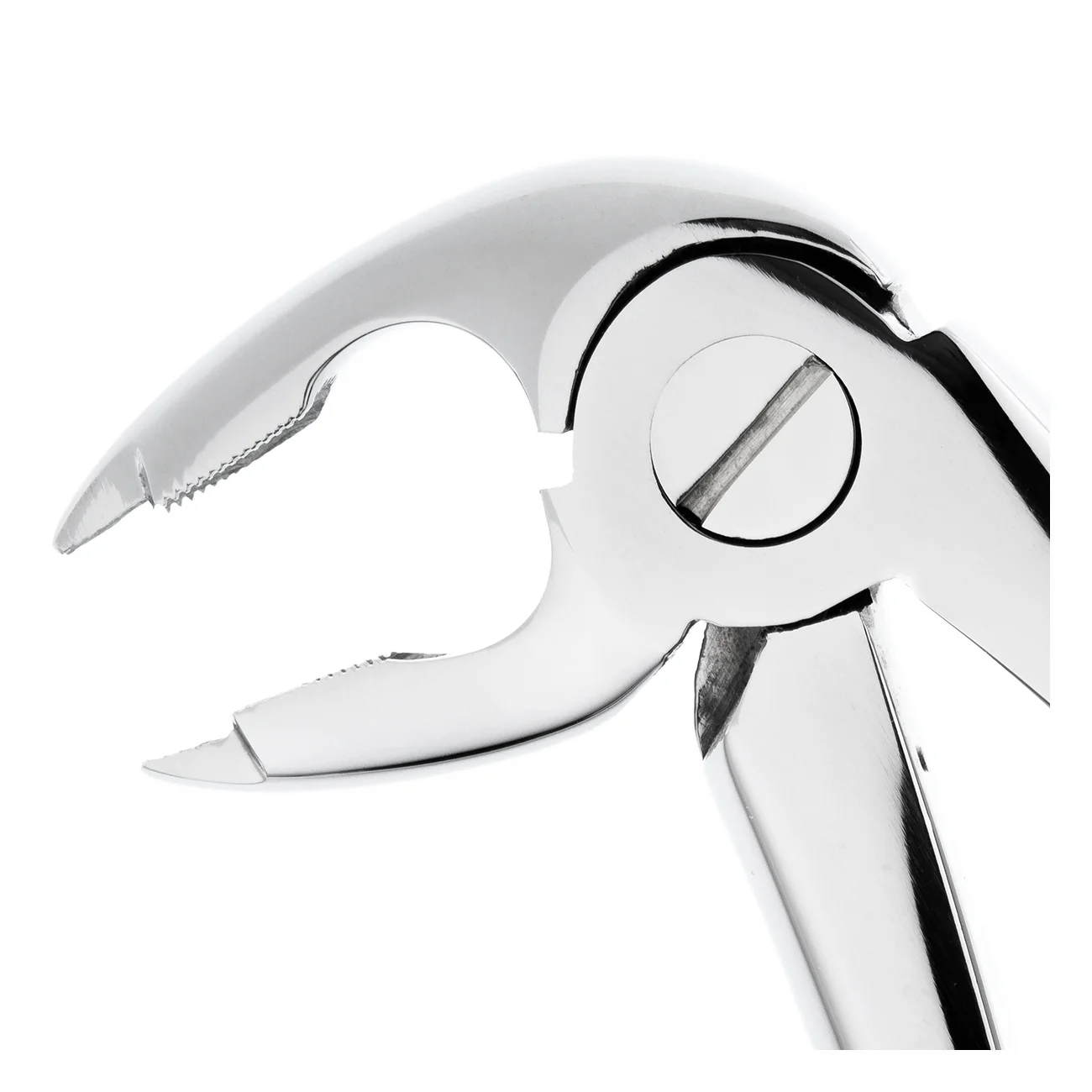 Щипцы №36A для удаления зубов нижние премоляры