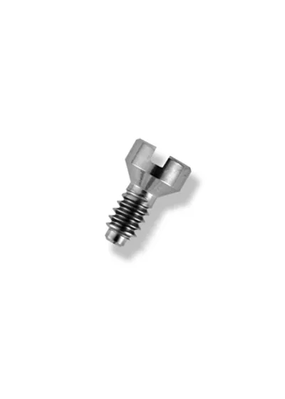 Винт для колпачка DENTSPLY XiVE Coping Screw