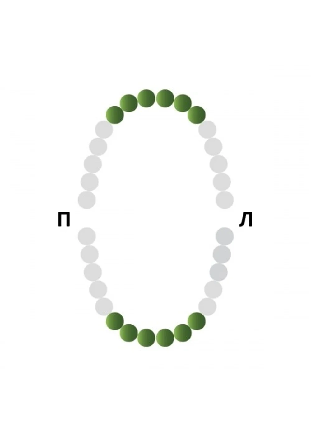 Раббер Дам крепление 129-009, МЕДЕНТА