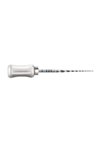 ProTaper ручной S2 (25мм) (6шт.)