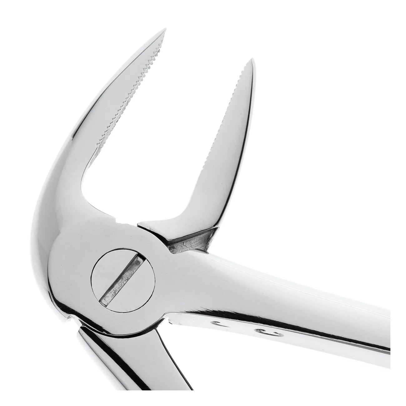 Щипцы №33M для удаления зубов нижние, корневые