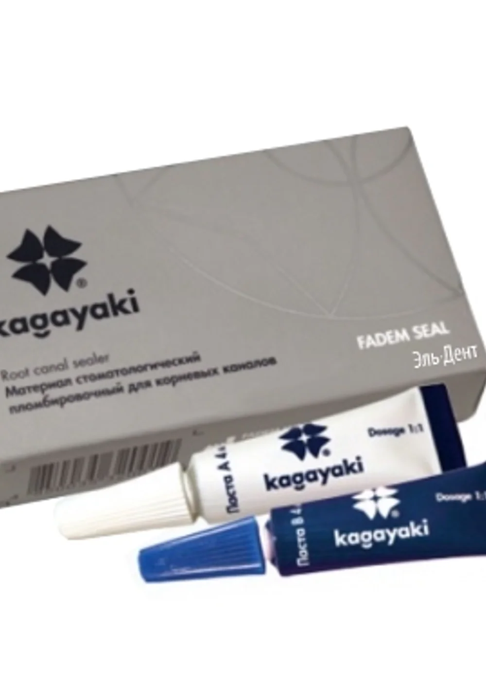FADEM SEAL паста для пломбирования корневых каналов (4мл+4мл). Кагаяки (Kagayaki)