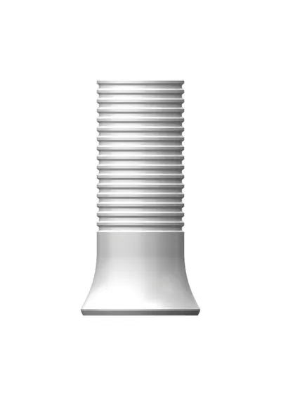 Цилиндр пластиковый, OSSTEM, SS Octa Standard, не 8-гранный, D=6.0 мм, L=10.0 мм, с винтом