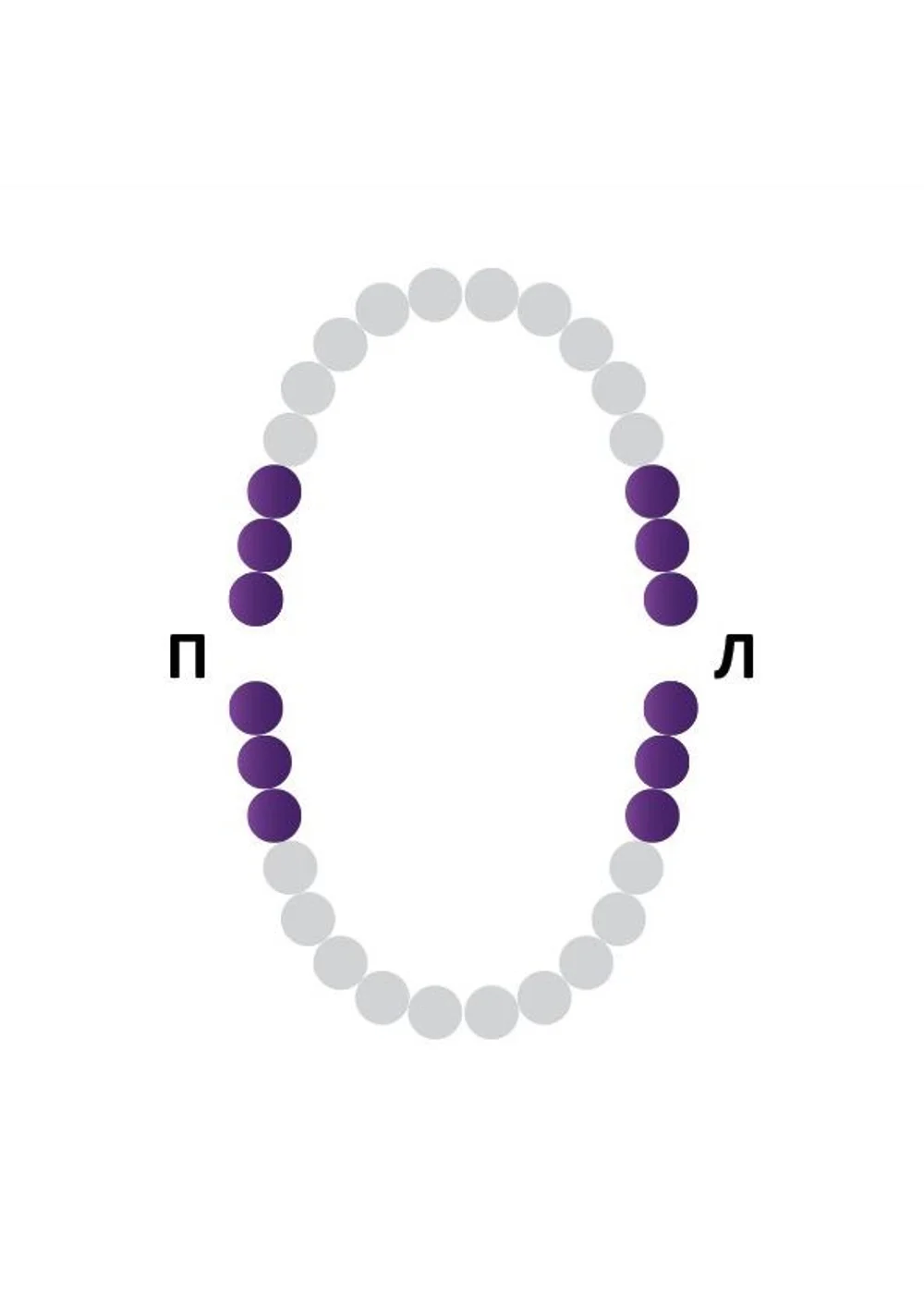 Раббер Дам крепление 129-028, МЕДЕНТА