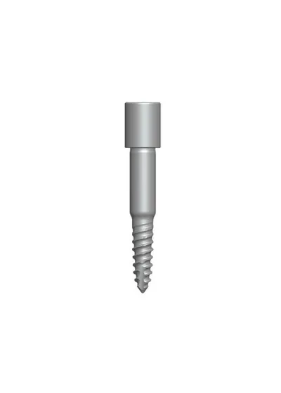Фиксирующий винт Dentium DGAS06, 15 мм