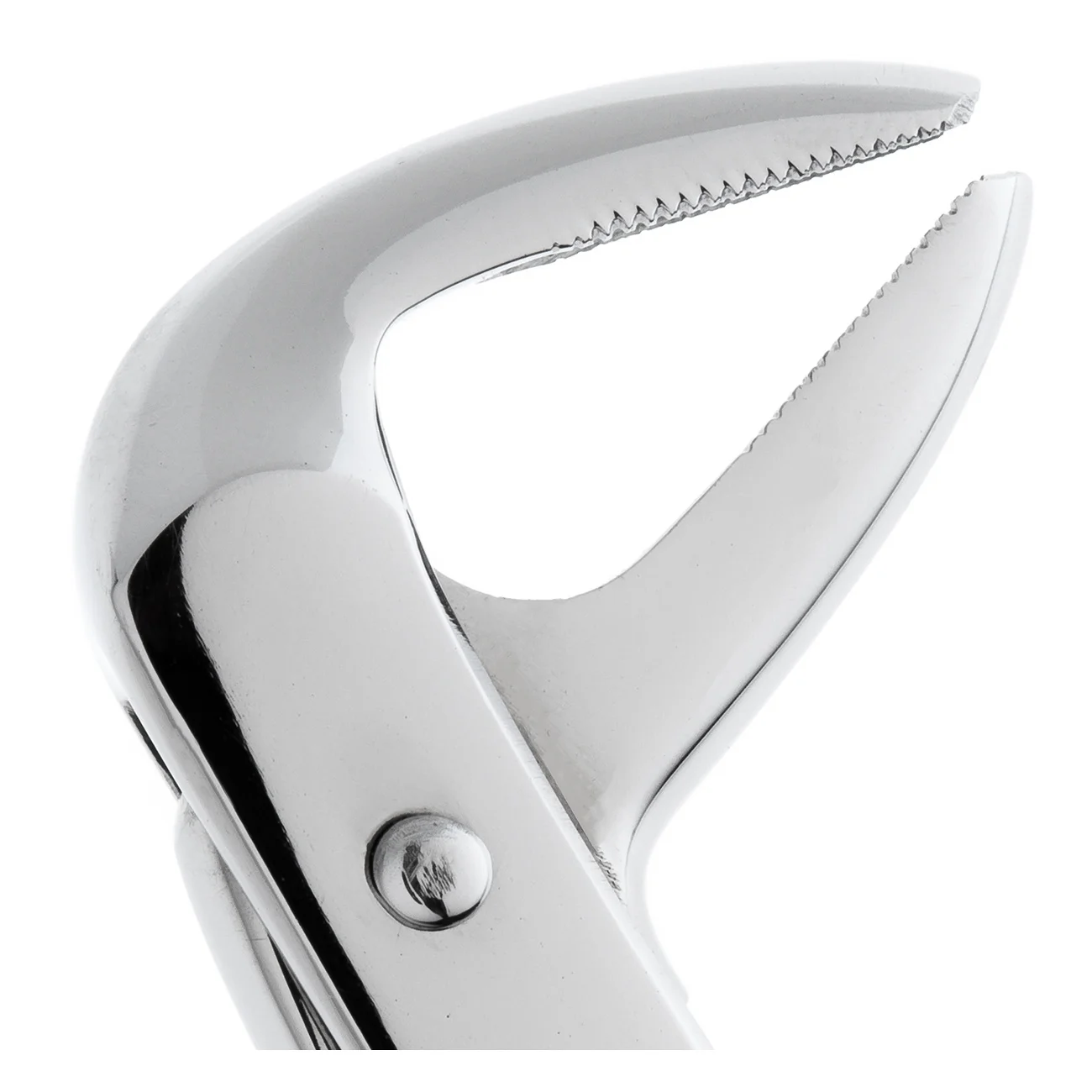 Щипцы №75 для удаления зубов нижние, премоляры