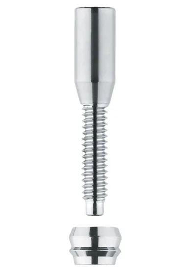 Винт трансверзальный DENTSPLY, XiVE, арт. 46-4408