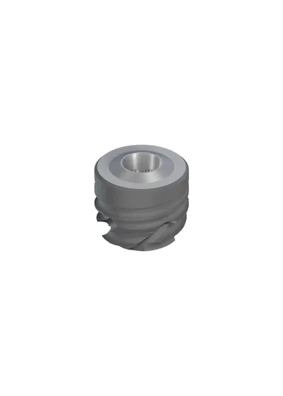 Имплантат Straumann BLC WB Ø 6.5 мм, 6 мм, Roxolid®, SLActive®