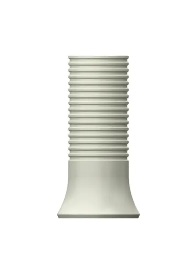 Цилиндр пластиковый, OSSTEM, SS Octa Standard, 8-гранный, D=6.0 мм, L=10.0 мм, с винтом
