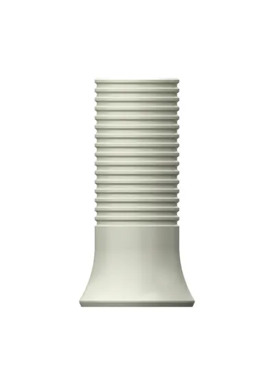 Цилиндр пластиковый, OSSTEM, SS Octa Standard, 8-гранный, D=4.8 мм, L=10.0 мм, с винтом