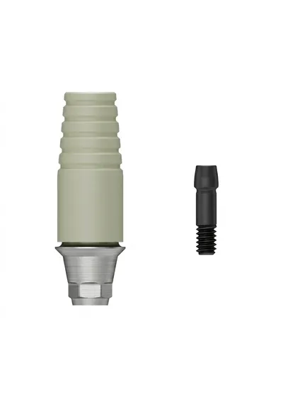 Абатмент отливаемый, OSSTEM, TS NP-Cast Mini, 6-гранник D=4.0 мм, H=1.0 мм