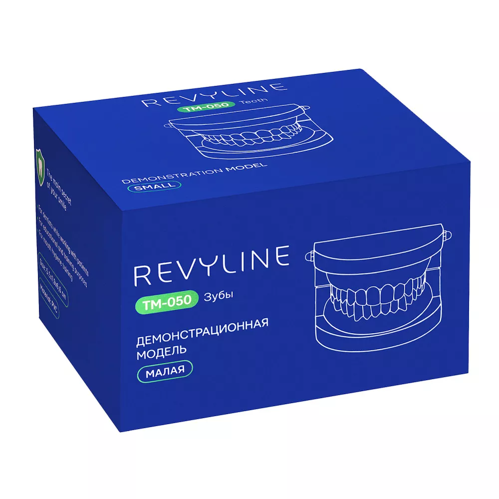 Демонстрационная модель Revyline TM-050  "Зубы" малая